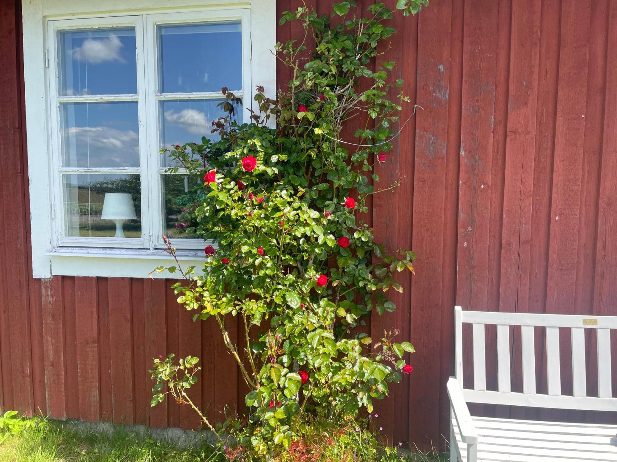 Kapelludden Oestra Oeland Villa Köpingsvik Eksteriør bilde